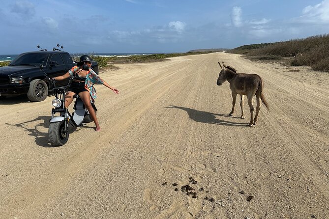 1/2 Day (4 hour) Electric Scooter Rental in Aruba - A practical route to the California Lighthouse