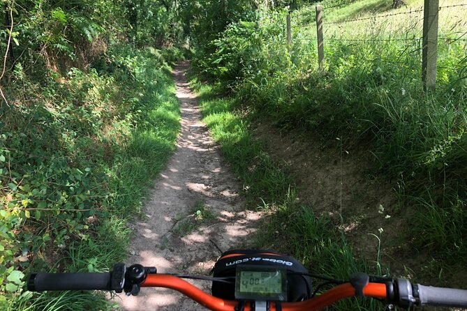 "100% emotion" ride on an all-terrain electric scooter - Should you book the E-MOTION ride?