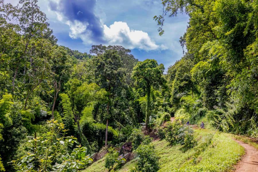 2 day overnight adventure off road scooter tour; Amaz views - Booking details worth knowing