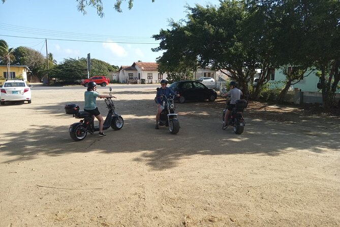 3-Hour Electric Scooter Island Tour in Aruba (1 or 2-seater) - Bubali Plas adds birds and quiet wetlands