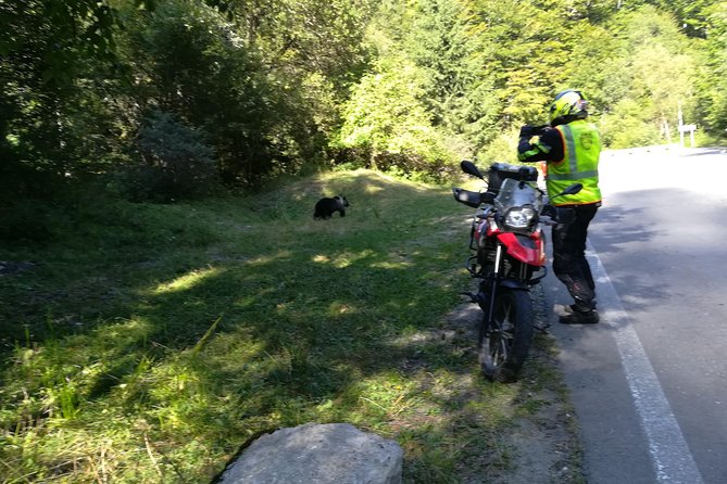 650cc Motorbike Rental from Turda - Who should rent this motorcycle