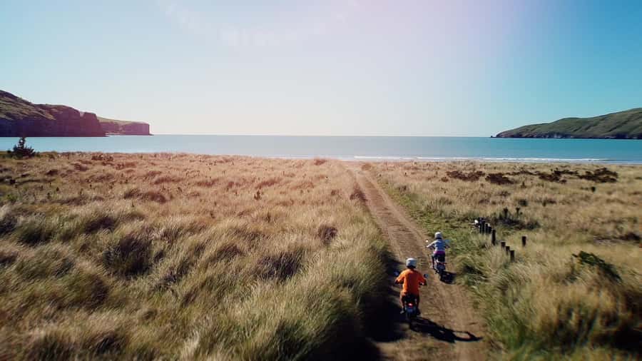Akaroa: Lonely Beach Trail by E-Scooter. selfguided day out - Hinewai Reserve and the walk to Stoney Bay Peak