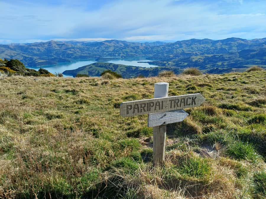 Akaroa: Lonely Beach Trail by E-Scooter. selfguided day out - Who should book this day out?