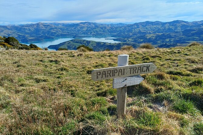 Akaroa Self Guided Electric Scooter Tour - Picnic time with your own food