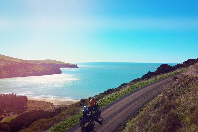 Akaroa Self Guided Electric Scooter Tour - Timing, cancellation, and useful planning tips