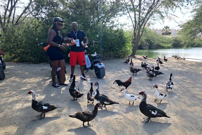 Aruba Electric Scooter Rental (1 or 2-seater) - The California Lighthouse and northern views