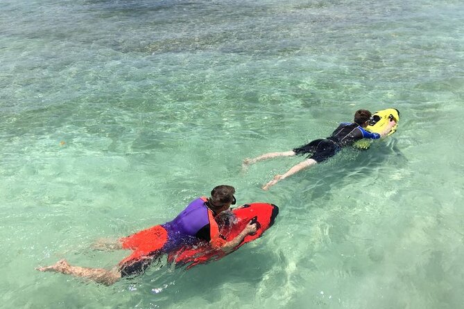 Aruba Seabob Scooter Reef Tour - The marine life you might see