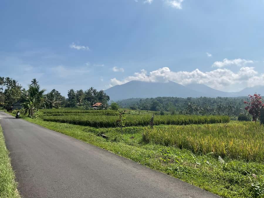 Bali Scooter Tour With Tour Guide - What the $34 Price Really Covers