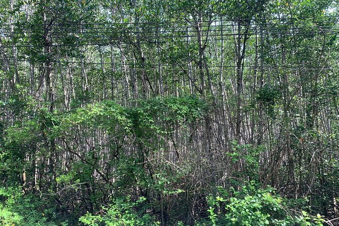 Can Gio Mangroves - Monkey Island by Motorbike and Scooter - Can Gio beach and the Cao Dai pagoda