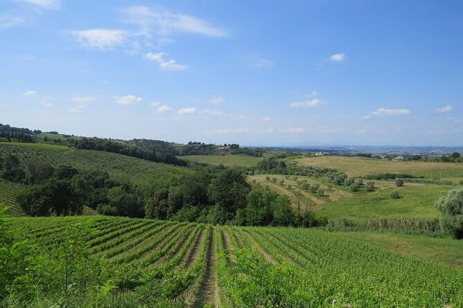 Chianti Hills: App‑Guided e‑Vespa Tour + Lunch in Greve - An electric Vespa day from Florence to Chianti