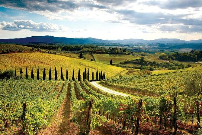 Chianti Vespa Tour - Weather, clothing, and practical comfort