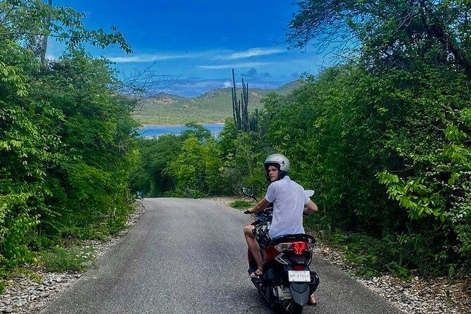 e-Scavenger hunt by car or scooter: 'Explore the Rincon Valley' - Dos Pos and the north of Bonaire