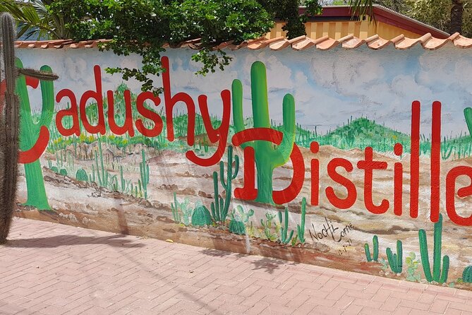e-Scavenger hunt by car or scooter: 'Explore the Rincon Valley' - Cadushy Distillery and a surprising local product