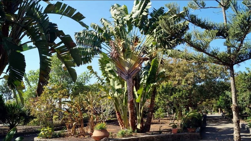 e-Scooter City Tour + Camel Ride inside Maspalomas Dunes - Guide quality and the small-group advantage