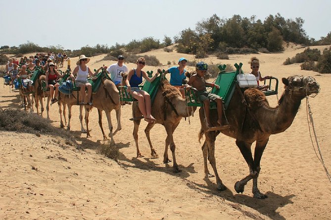 e-Scooter City Tour + Camel Ride inside Maspalomas Dunes - Meloneras and the Christopher Columbus monuments
