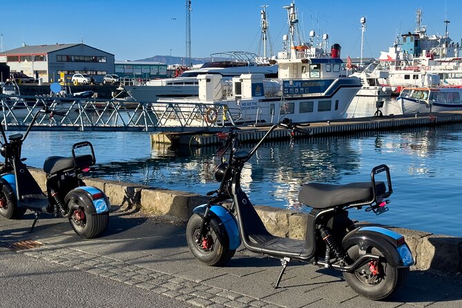 E-Scooter Rental - Explore Reykjavík on your own - Riding toward Harpa and the Sun Voyager