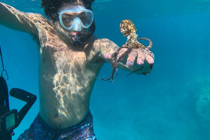 E-Scooter Snorkel With Photo and Video At Turtle Town - Why the guide matters more than the motor