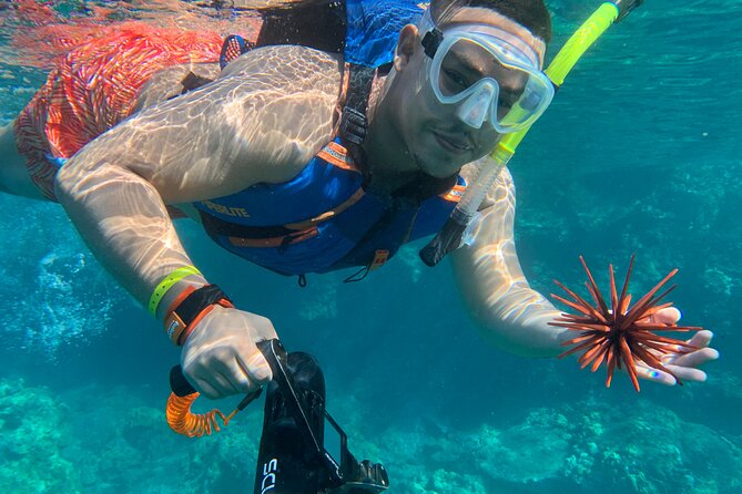 E-Scooter Snorkel With Photo and Video At Turtle Town - The optional photos and videos