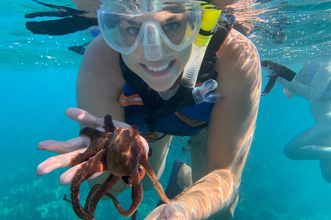E-Scooter Snorkel With Photo and Video At Turtle Town - Meeting at Makena Landing at 7:30 a.m.