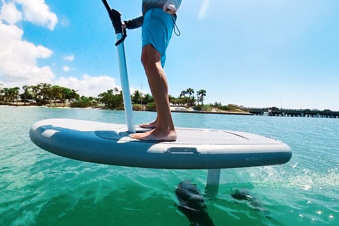 Efoil Ocean Adventure on a Flite Scooter! Sarasota. - How much fun is 80 minutes for $300?