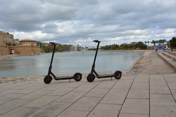 Electric kick scooter rental in Palma de Mallorca - What the service feedback tells you