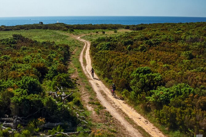 Electric Off-Road Scooter Tour in Pula - GoPro photos and the small-group feel
