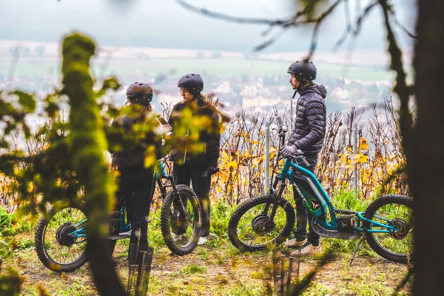 Electric scooter getaway and tasting at Château de Chamirey - Why this Château de Chamirey outing works