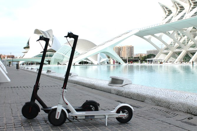 Electric Scooter Rental - Key Points to Know Before You Ride