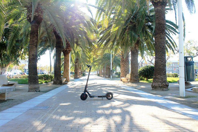 Electric Scooter Rental - How Much Valencia Can You Cover?