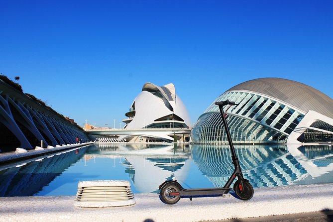 Electric Scooter Rental - Safety, Speed, and Comfort