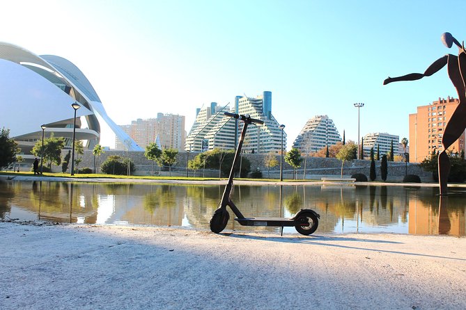 Electric Scooter Rental - Who Will Get the Most From This Rental?