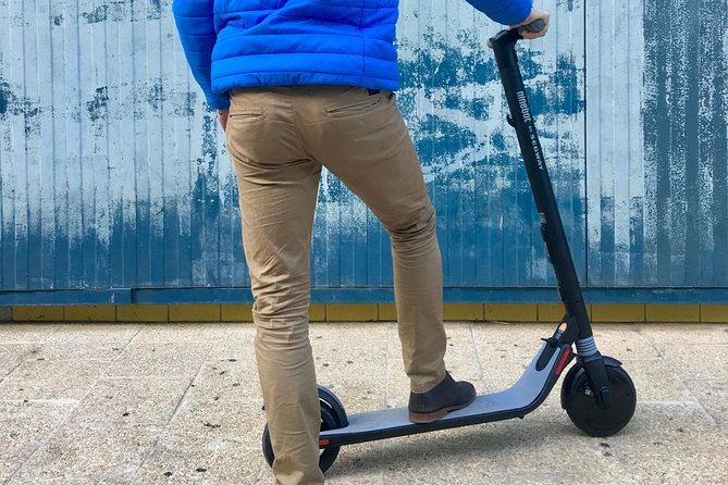 Electric scooter rental in Nice - Who will enjoy this rental most
