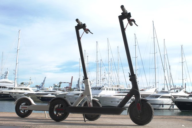 Electric Scooter Rental - Picking up at 66 Bd de la République