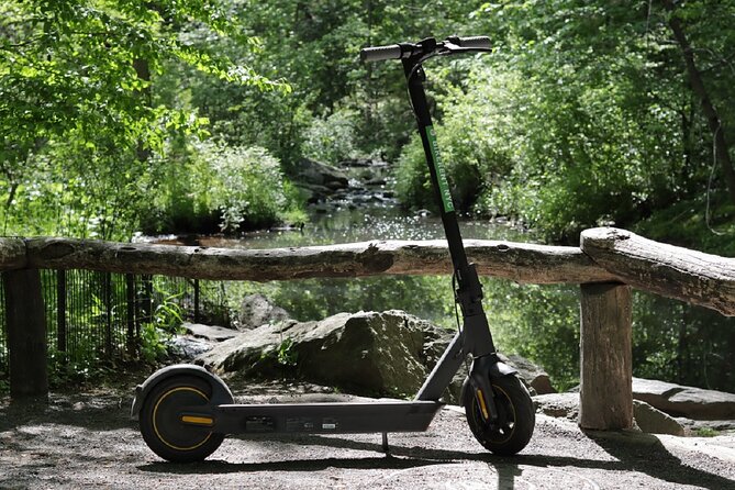 Electric Scooter Tour of Central Park in Spanish - Starting at 3 p.m. on West 58th Street