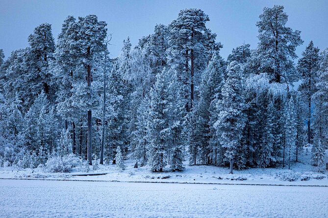Electric Snow Scooters Tour - Key points to know before you book