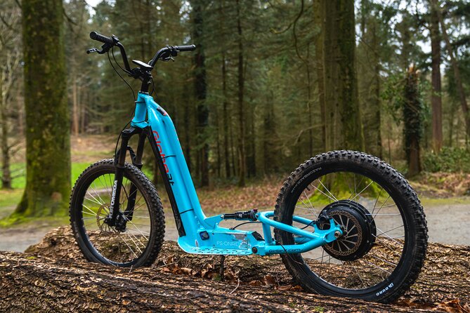 Explore Nature with All-Terrain E-Scooters - Abbaye du Rouge Cloître: nature with a historic edge