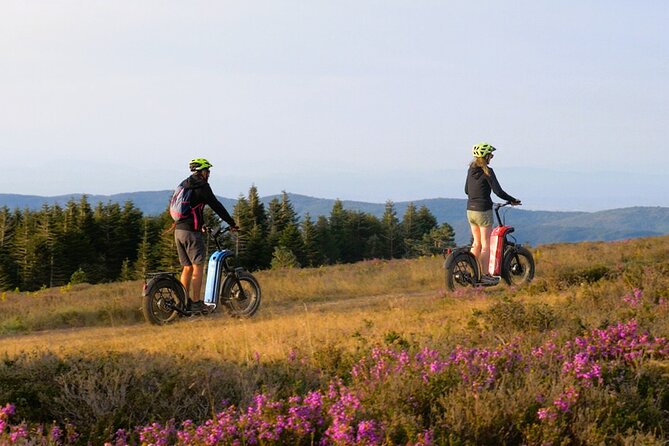 Explore the forests of Haut Languedoc on an electric scooter - The scenery changes with the season