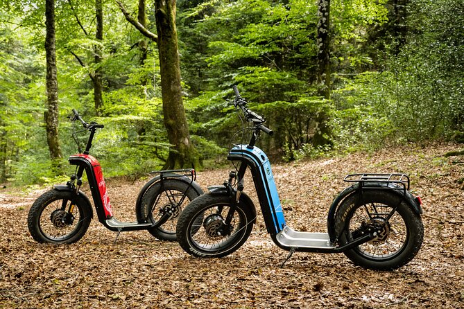 Explore the forests of Haut Languedoc on an electric scooter - Private riding, with freedom and a little responsibility