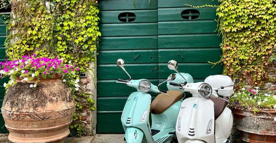 Explore the Rolling Hills of Lucca on a Vespa 125 Primavera - The optional picnic under the olive trees