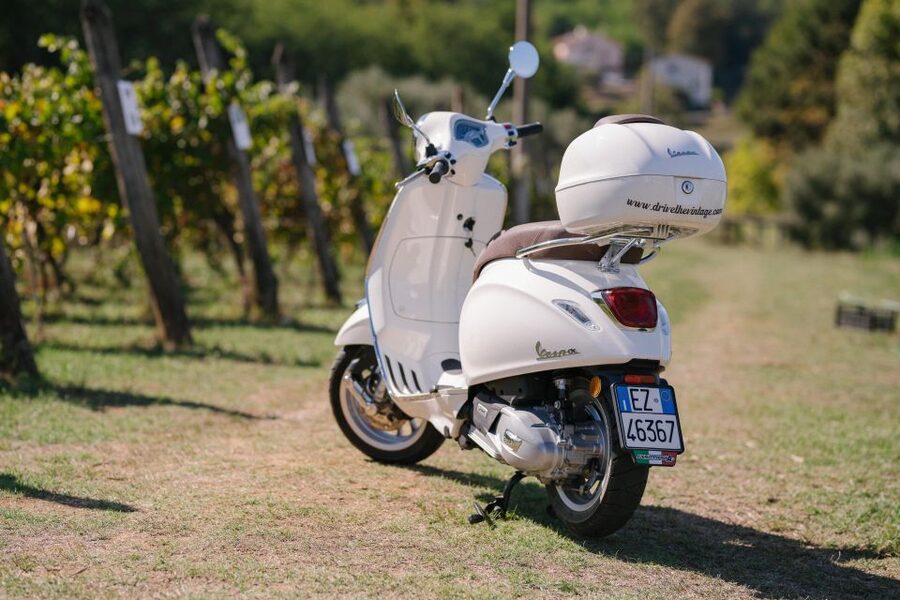 Explore the Rolling Hills of Lucca on a Vespa 125 Primavera - Reaching the Massaciuccoli Lake viewpoint