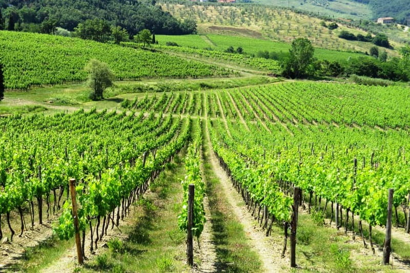 From Florence: Chianti Self-Guided Vespa Tour with Lunch - Greve in Chianti brings the food break