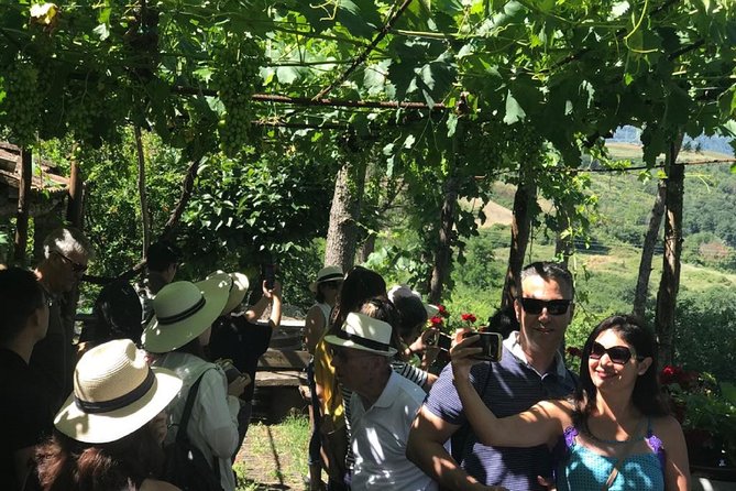 Full-Day Chianti Tour by Vespa Scooter from San Gimignano - Monteriggioni offers a short independent wander
