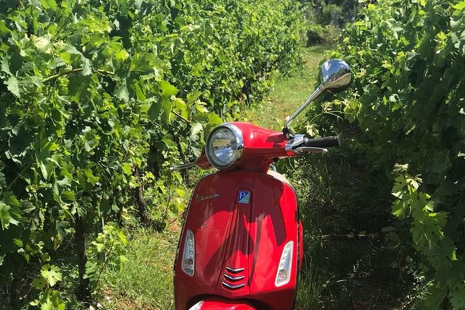 Full-Day Chianti Tour by Vespa Scooter from San Gimignano - Passenger or driver: choose carefully