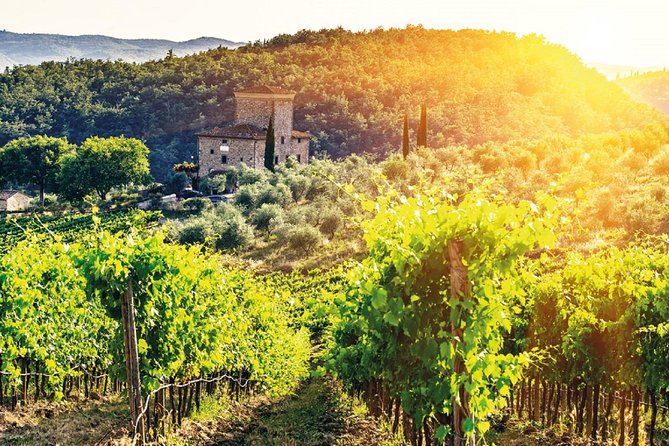Full-Day Chianti Tour by Vespa Scooter from San Gimignano - Is $168 a fair price?
