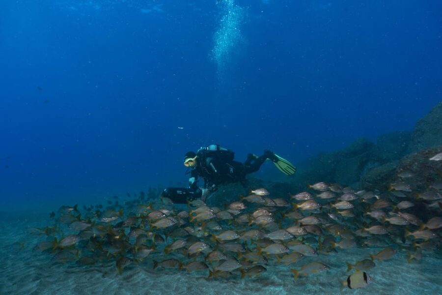 Funchal: DPV- Scooter Dive Adventure - Who should book this underwater scooter tour