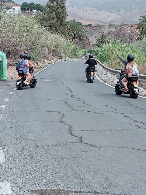 Gran Canaria: Los Pilancones Natural Park e-Scooter Tour - Following the Ayagaures mountain road