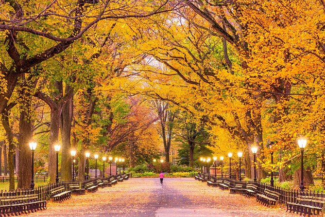 Guided Electric Scooter Tour of Central Park - Bethesda Fountain and the Mall