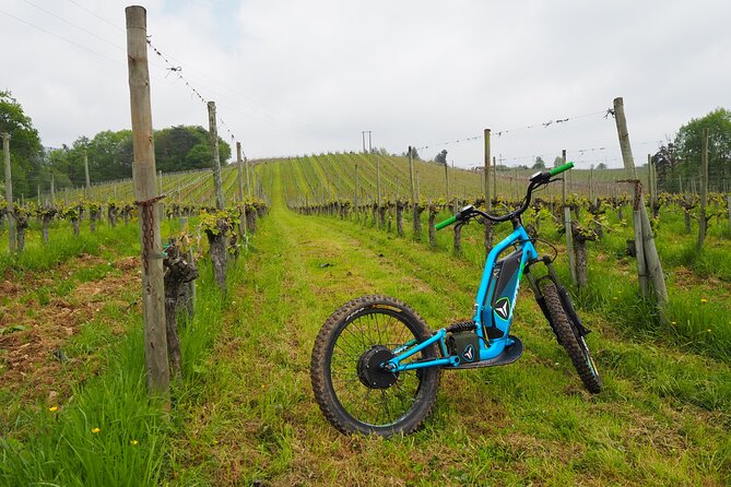 Guided hike to Iraty by electric scooter - What the two-hour ride feels like