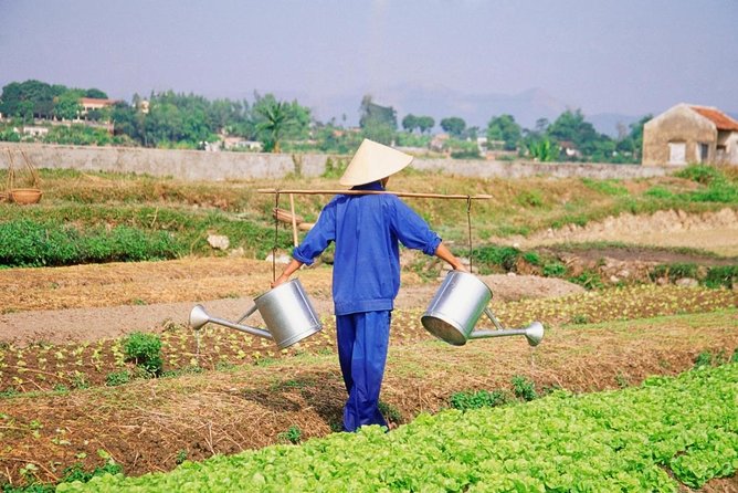 Half-day Electric Scooter Countryside Adventure In Hoi An - Key points to know before you book