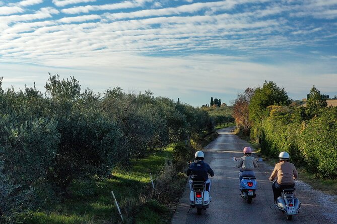 Half Day Vespa Countryside Tour and Tastings in Istria - Padna and the olive oil visit